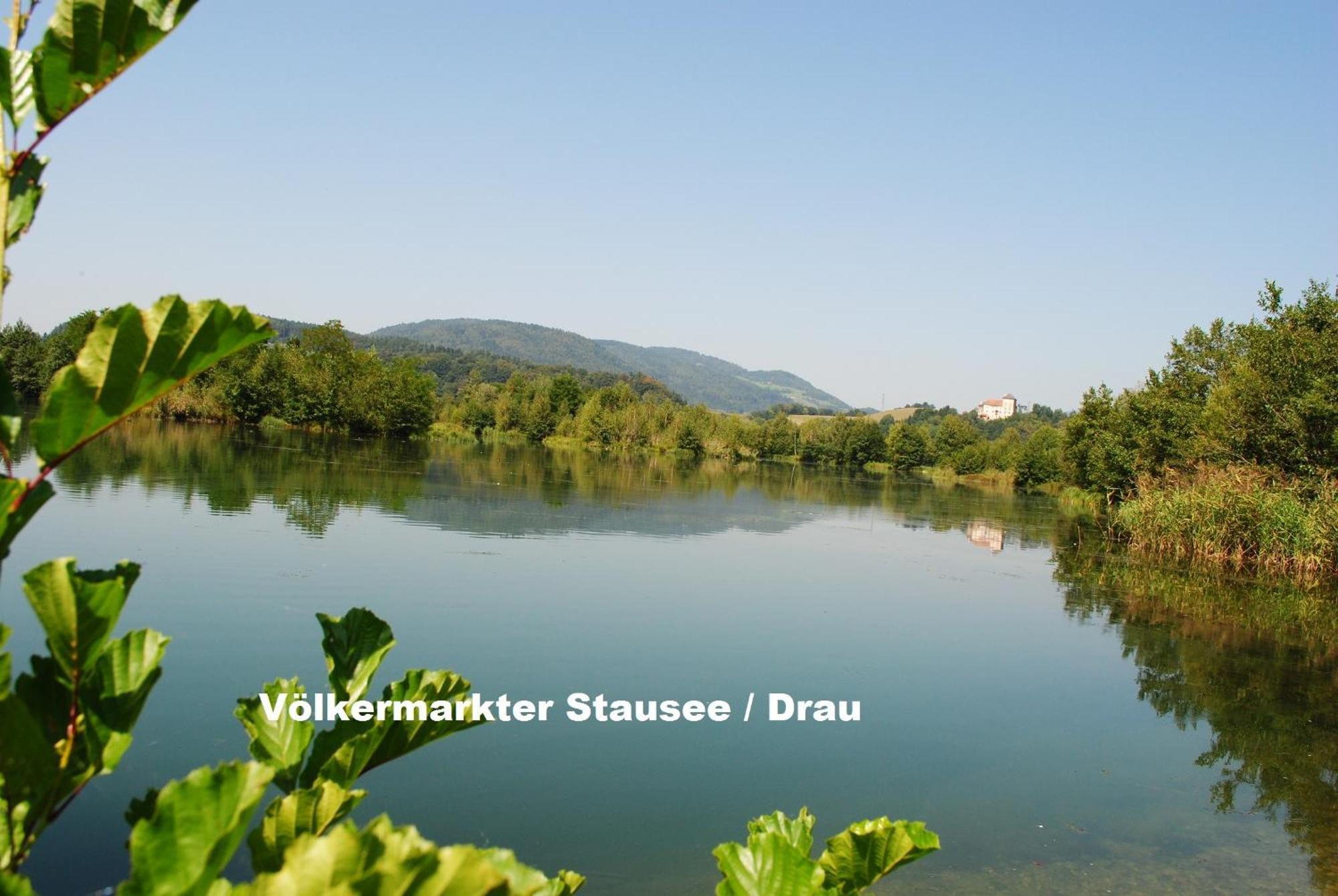 Gasthof Waldwirt Sankt Kanzian am Klopeiner See Dış mekan fotoğraf